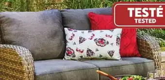 Canadian Tire Loveseat offer