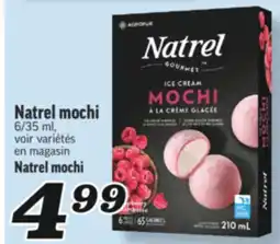 Marché Richelieu MOCHI NATREL | NATREL MOCHI offer