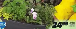 IGA HERB COMBO offer