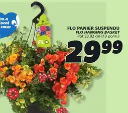 IGA FLO HANGING BASKET offer