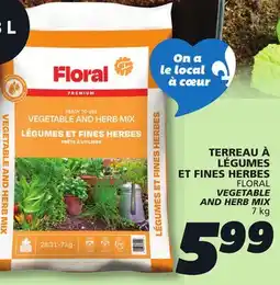 IGA FLORAL VEGETABLE AND HERB MIX offer