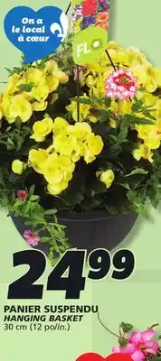 IGA HANGING BASKET offer