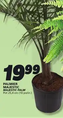 IGA MAJESTIC PALM offer