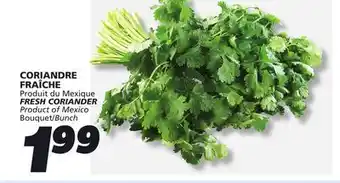 IGA FRESH CORIANDER offer
