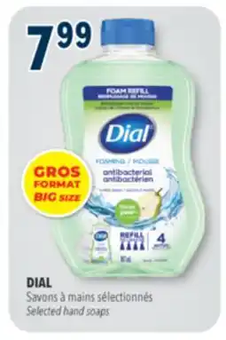Familiprix Dial fresh pear scent hand wash foam refill 887ml offer