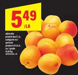 Maxi ABRICOTS | APRICOTS offer