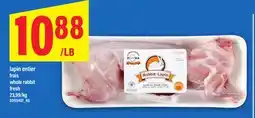 Maxi LAPIN ENTIER FRAIS | WHOLE RABBIT FRESH 23,99/kg offer