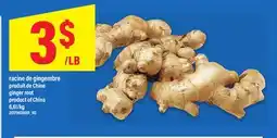 Maxi RACINE DE GINGEMBRE | GINGER ROOT offer