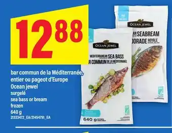 Maxi BAR COMMUN DE LA MÉDITERRANÉE, ENTIER OU PAGEOT D'EUROPE OCEAN JEWEL, 640 G | SEA BASS OR BREAM offer