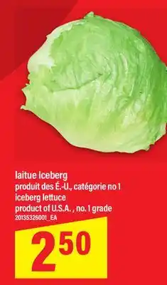Maxi LAITUE ICEBERG | ICEBERG LETTUCE offer