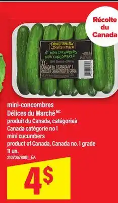 Maxi MINI-CONCOMBRES DÉLICES DU MARCHÉ | MINI CUCUMBERS, 11 UN offer