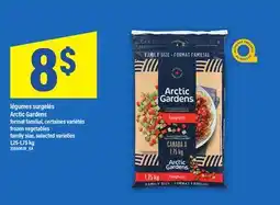 Maxi LÉGUMES SURGELÉS ARCTIC GARDENS, 1,25-1,75 KG | FROZEN VEGETABLES offer