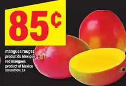 Maxi MANGUES ROUGES | RED MANGOES offer