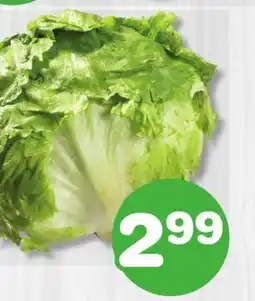 Marches Tradition ICEBERG LETTUCE offer