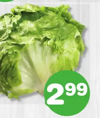 Marches Tradition ICEBERG LETTUCE offer