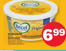 Marches Tradition BECEL MARGARINE offer