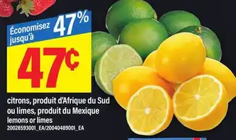Maxi CITRONS OU LIMES | lemons or limes offer