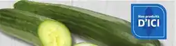 Marches Tradition SEEDLESS CUCUMBER offer
