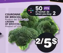Marches Tradition CROWN OF BROCCOLI OF BROCCOLI offer