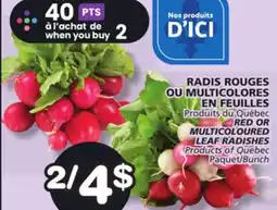 Marches Tradition RED OR MULTICOLOURED LEAF RADISHES offer