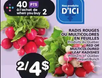 Marches Tradition RED OR MULTICOLOURED LEAF RADISHES offer