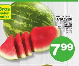 Marches Tradition SEEDLESS WATERMELON offer
