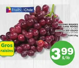 Marches Tradition SEEDLESS RED GRAPES offer