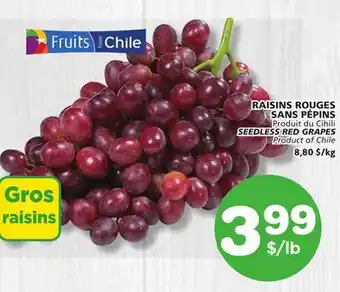 Marches Tradition SEEDLESS RED GRAPES offer