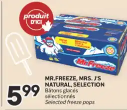 Brunet MR. FREEZE MRS.J'S NATURAL, SELECTION Bâtons glacés sélectionnés offer