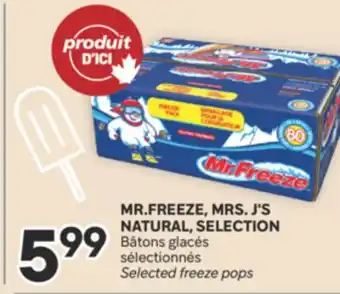 Brunet MR. FREEZE MRS.J'S NATURAL, SELECTION Bâtons glacés sélectionnés offer