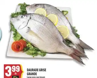 Marché Adonis DAURADE GRISE GRANDE | LARGE GREY SEA BREAM offer