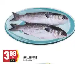 Marché Adonis MULLET FRAIS | FRESH MULLET offer