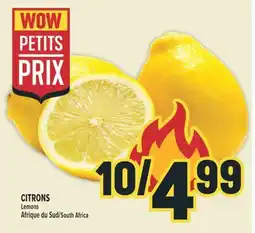 Marché Adonis CITRONS | LEMONS offer