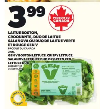Provigo GEN V BOSTON LETTUCE, CRISPY LETTUCE SALANOVA LETTUCE DUO OR GREEN RED LETTUCE DUO, 2 UN offer