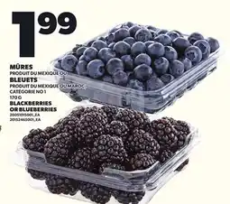 Provigo BLACKBERRIES OR BLUEBERRIES, 170 G offer