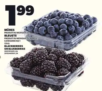 Provigo BLACKBERRIES OR BLUEBERRIES, 170 G offer