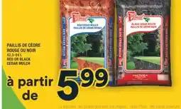 Super C PAILLIS DE CÈDRE ROUGE OU NOIR | RED OR BLACK CEDAR MULCH offer