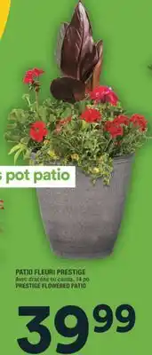 Super C PATIO FLEURI PRESTIGE | PRESTIGE FLOWERED PATIO offer