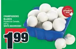 Super C CHAMPIGNONS BLANCS | WHITE MUSHROOMS offer