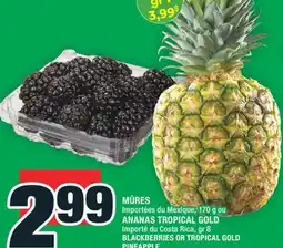 Super C MÛRES, ANANAS TROPICAL GOLD | BLACKBERRIES OR TROPICAL GOLD PINEAPPLE offer