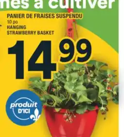 Super C PANIER DE FRAISES SUSPENDU | HANGING STRAWBERRY BASKET offer