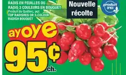 Super C RADIS EN FEUILLES OU RADIS 3 COULEURS EN BOUQUET | TOP RADISHES OR 3-COLOUR RADISH BOUQUET offer