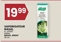 Rachelle-Bery Grocery A. VOGEL SINNA NASAL SPRAY offer