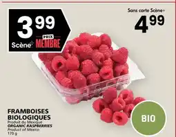 Rachelle-Bery Grocery ORGANIC RASPBERRIES offer