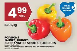 Rachelle-Bery Grocery ORGANIC GREENHOUSE YELLOW, RED OR ORANGE PEPPERS offer