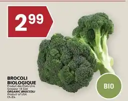Rachelle-Bery Grocery ORGANIC BROCCOLI offer