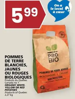 Rachelle-Bery Grocery ORGANIC WHITE, YELLOW OR RED POTATOES offer
