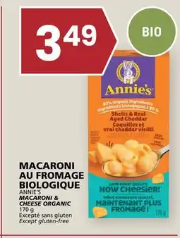 Rachelle-Bery Grocery ANNIE'S MACARONI & CHEESE ORGANIC offer