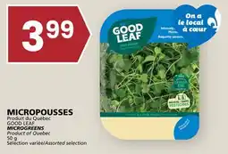 Rachelle-Bery Grocery GOOD LEAF MICROGREENS offer