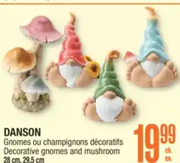 Jean Coutu DANSON Decorative gnomes and mushroom offer